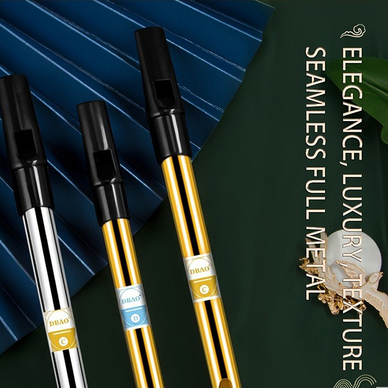 1 PC C/D Sleutel Tin Penny Flu - Tin Whistle Flute recensie en prijs