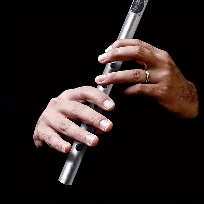 1 PC C/D Sleutel Tin Penny Flu - Tin Whistle Flute recensie en prijs