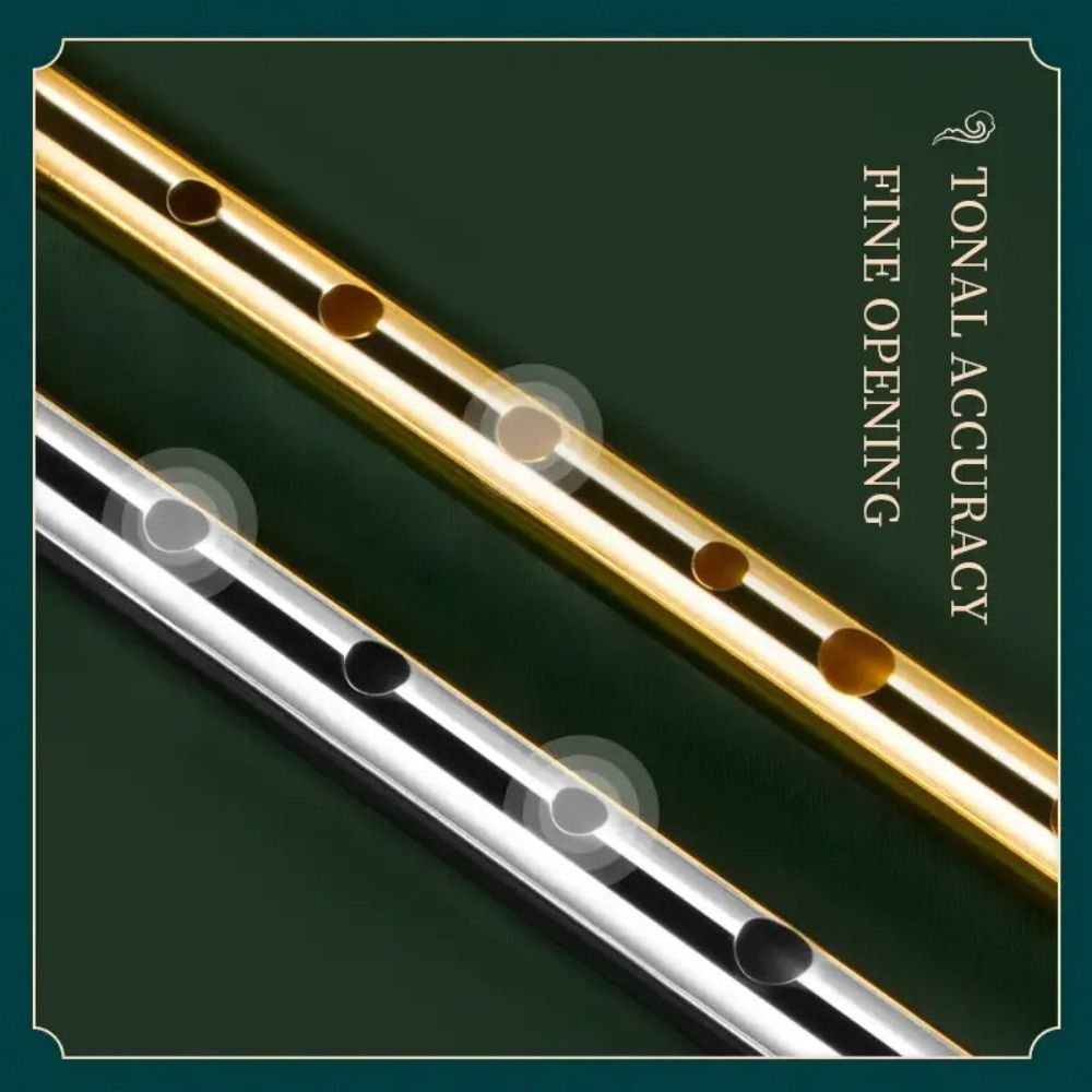 C/D Key Ierse Tinfluit 6 Gaten - Tin Whistle Flute recensie en prijs