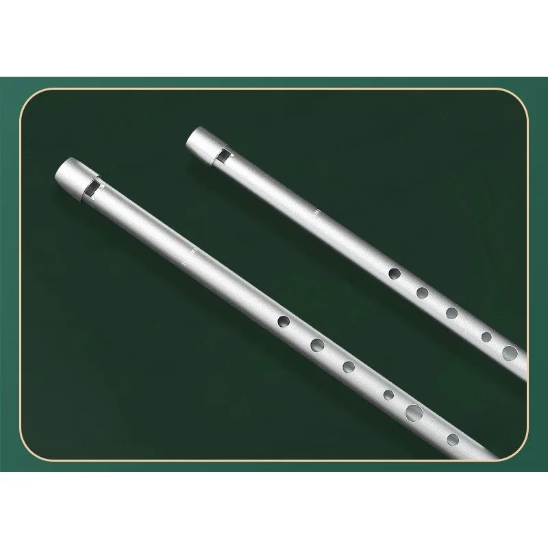 Fluitje voor basisschoolleerli - Tin Whistle Flute recensie en prijs